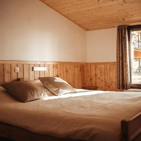 Vakantiehuis Le Tetras Lyre - 28 Pers - *